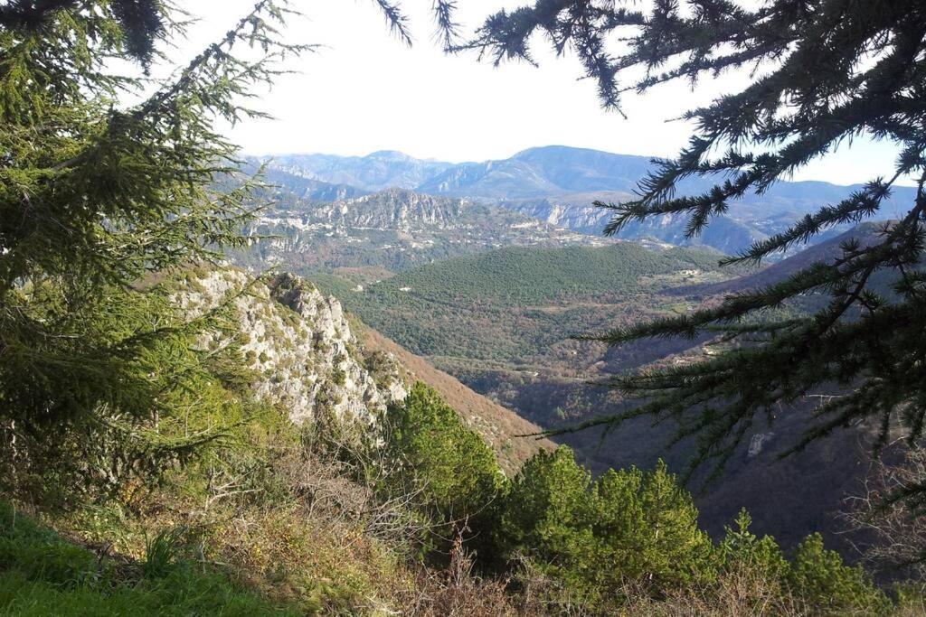 Joli Studio Entre Mer Et Montagne Proche De Nice Bouyon Exteriör bild